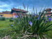 Монастырь Амарбаясгалант