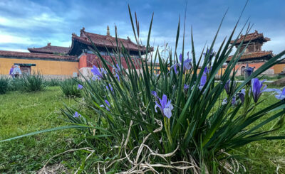 Монастырь Амарбаясгалант