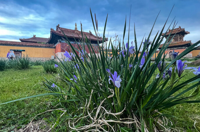 Монастырь Амарбаясгалант