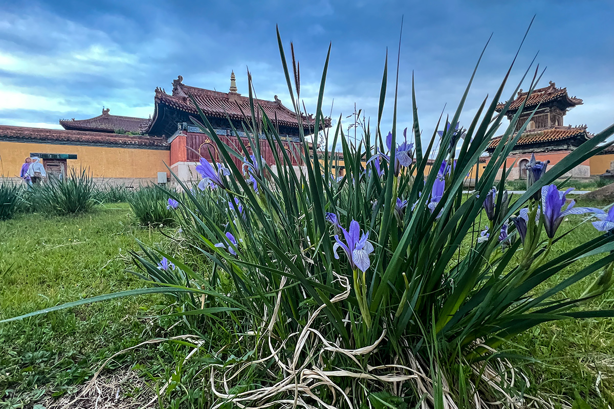 Монастырь Амарбаясгалант